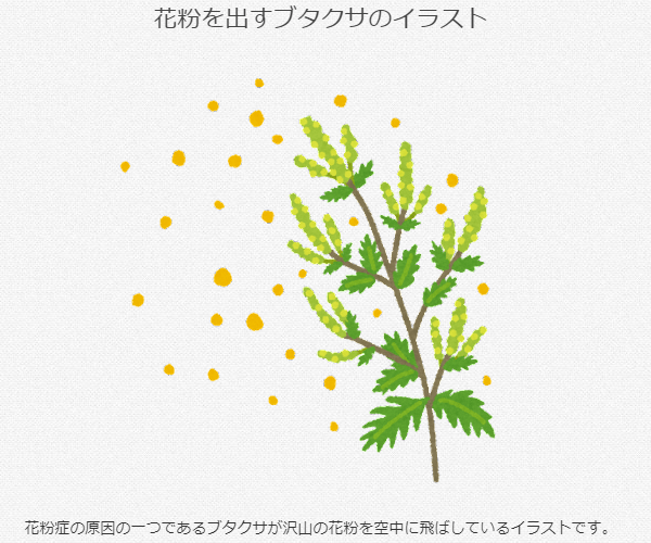 雑草の世界にガルちゃんがあったら立ちそうなトピ　part5