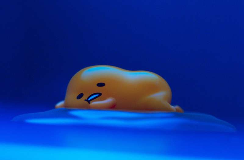今日は一歩も外に出ないぞ!って人。