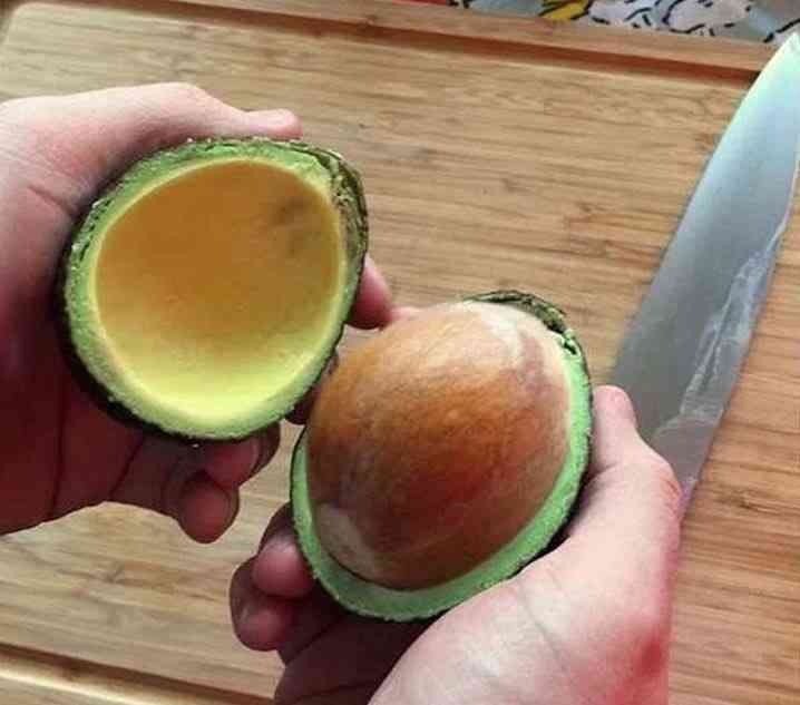 「朝食抜き、甘い朝食はNG」「アボカドは記憶力にも効くスーパーフード」　スタンフォード式「本当の疲労対策」をプロが伝授