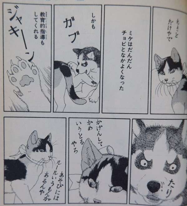 【二次元】関係性が好きなキャラ