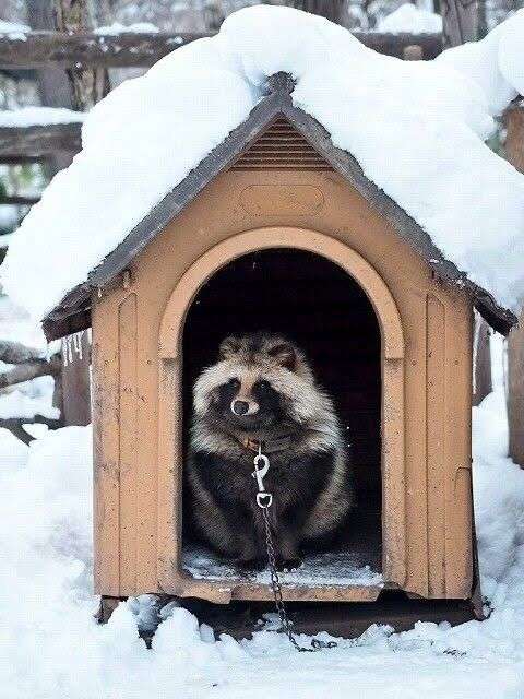 誰が買ってるのかわからない商品