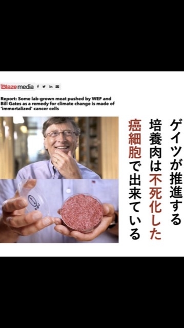 現代の異常気象は「人類へのしっぺ返し」、様々な事態を想定した対策考える必要