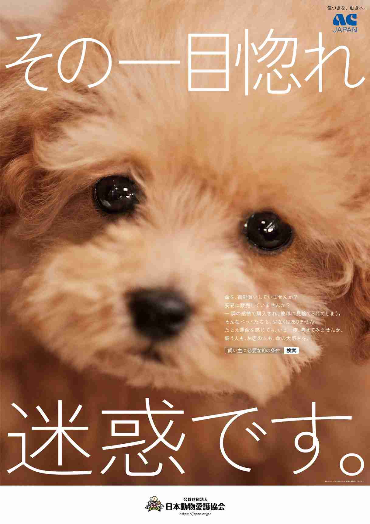 「ビッグモーターより悪質」と批判殺到!ペット業者めぐる新潮報道、ペットショップの生体販売は禁止すべき?