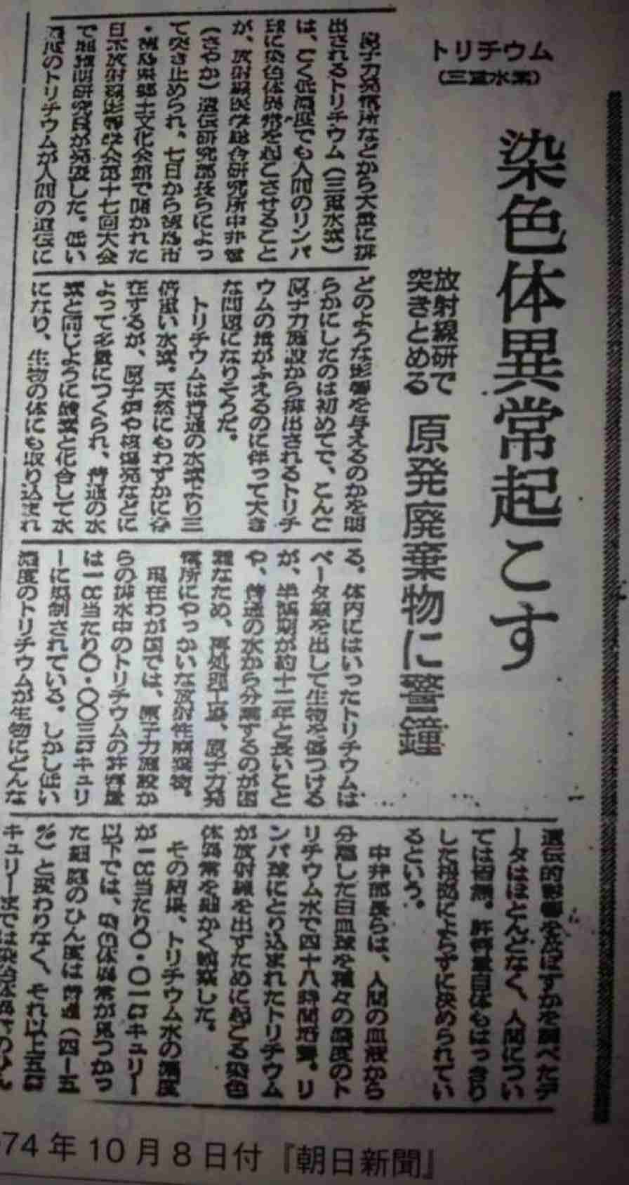 日本、中国の「水産物禁輸」でWTOに反論書類提出…水産業界に1007億円支援