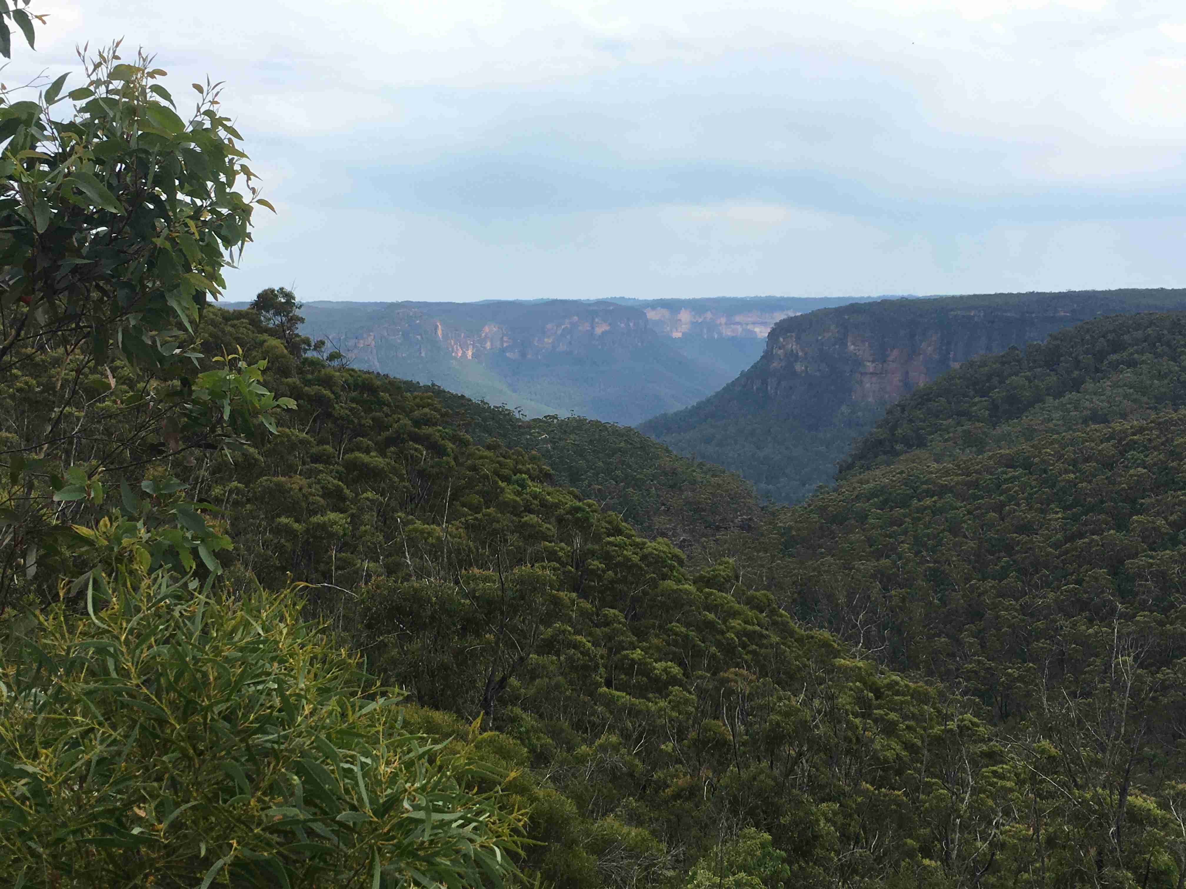 自分で撮った海外の写真を貼ってどこの国か当ててもらうトピ