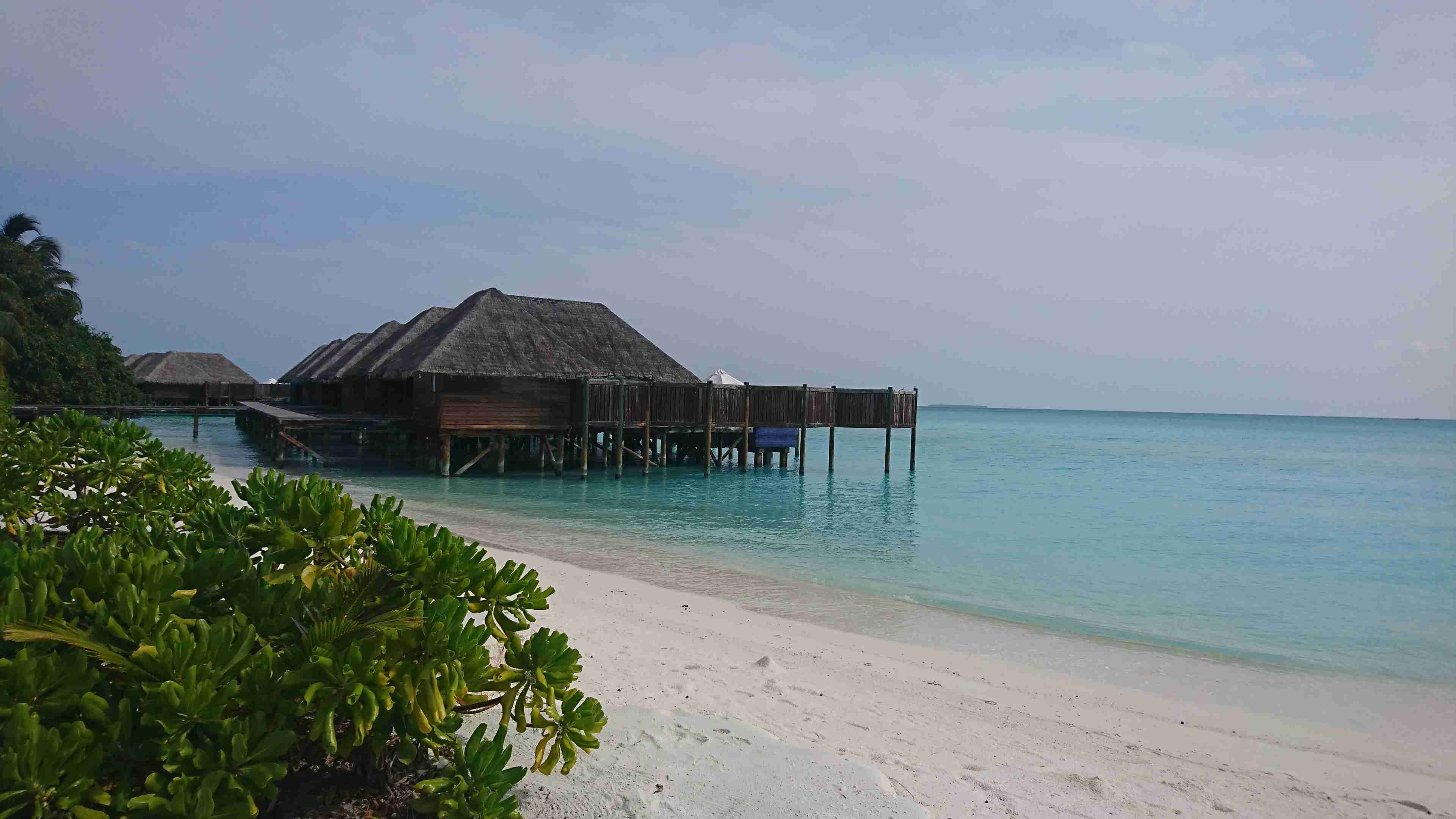 自分で撮った海外の写真を貼ってどこの国か当ててもらうトピ