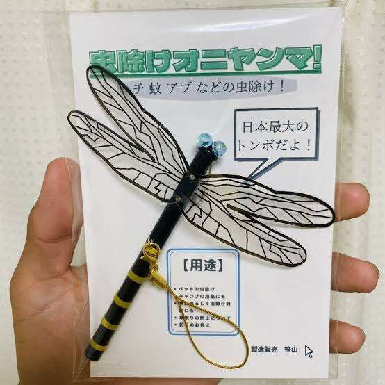 「必死に血を吸う」秋の“暴れ蚊”警戒　海外ではデング熱が大流行