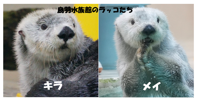 【ネタ】絶体絶命な場面を書くと誰かが回避する方法を考えてくれるトピ