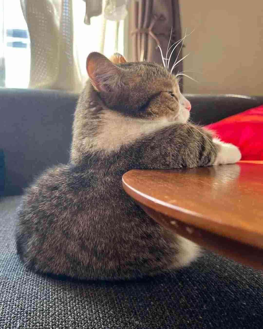 我こそ非モテの極みな人