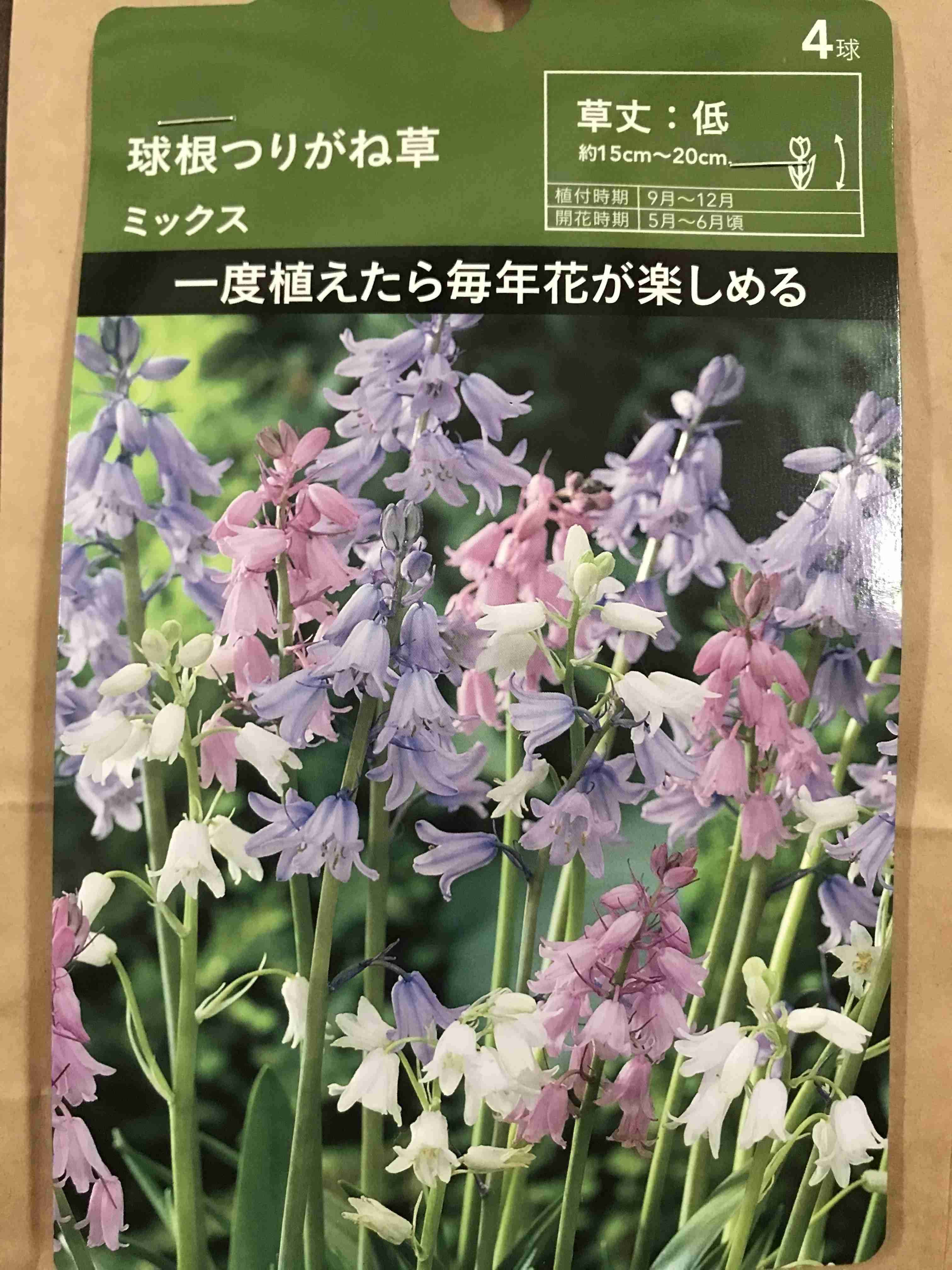 【ガーデニング】ガルちゃん園芸部【花・植物】part.28