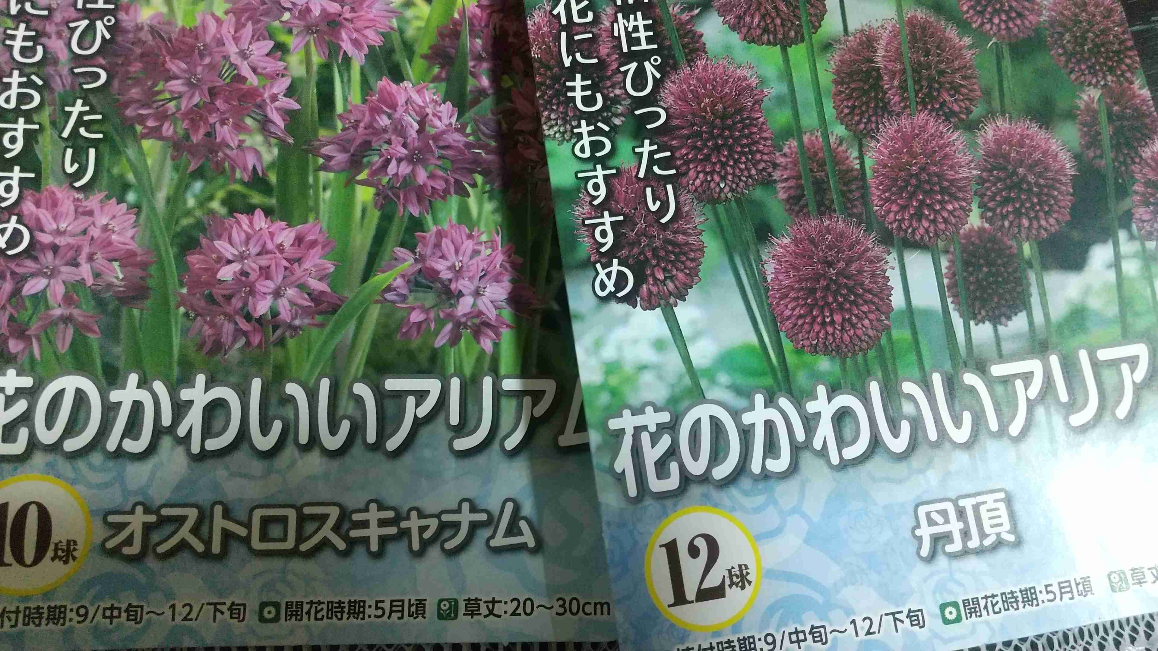 【ガーデニング】ガルちゃん園芸部【花・植物】part.28