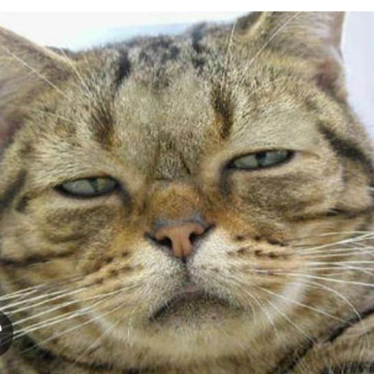 超美人とそこそこ美人、どちらが生きやすいと思いますか