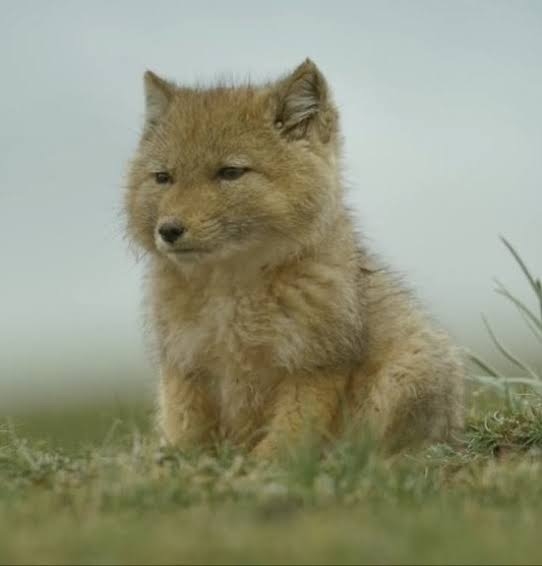 超美人とそこそこ美人、どちらが生きやすいと思いますか