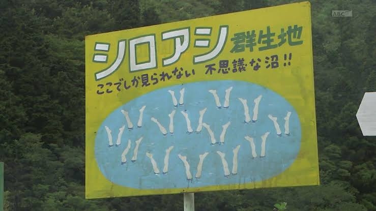 映画のタイトル書くと印象的なシーンを誰か書いてくれるトピ