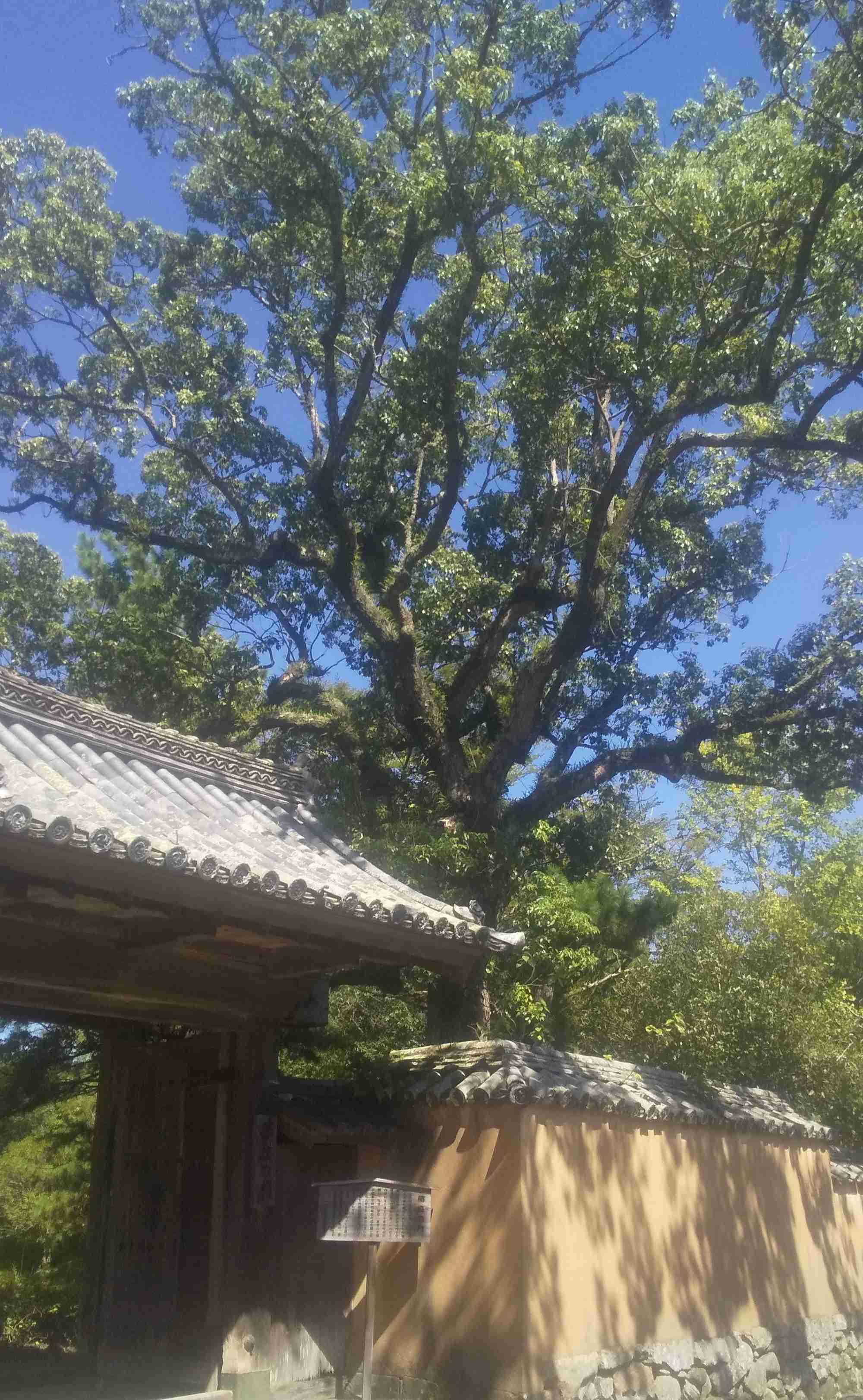 昔から変わってないしこれからも変わってほしくない物事