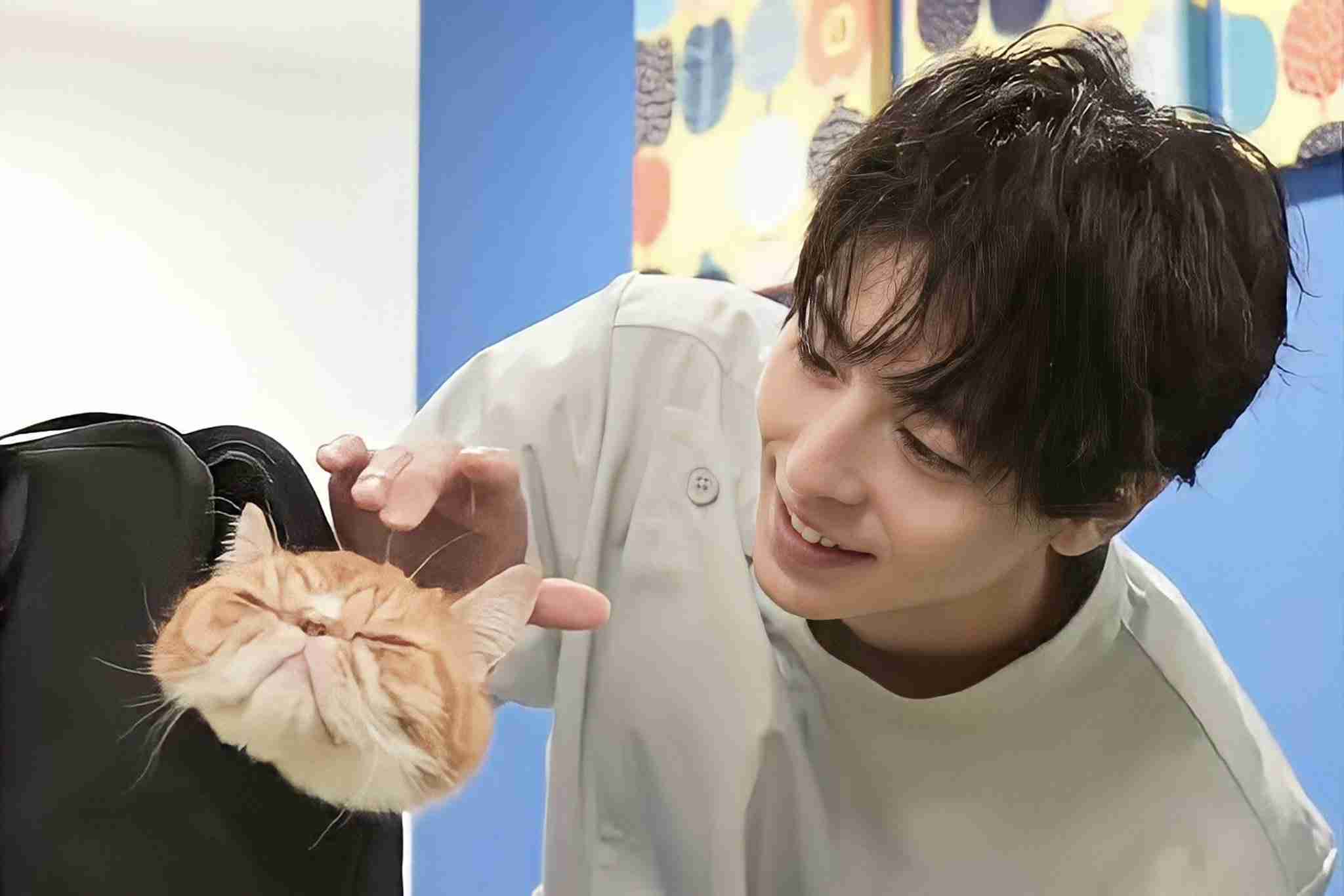 1番好きな顔の男性芸能人