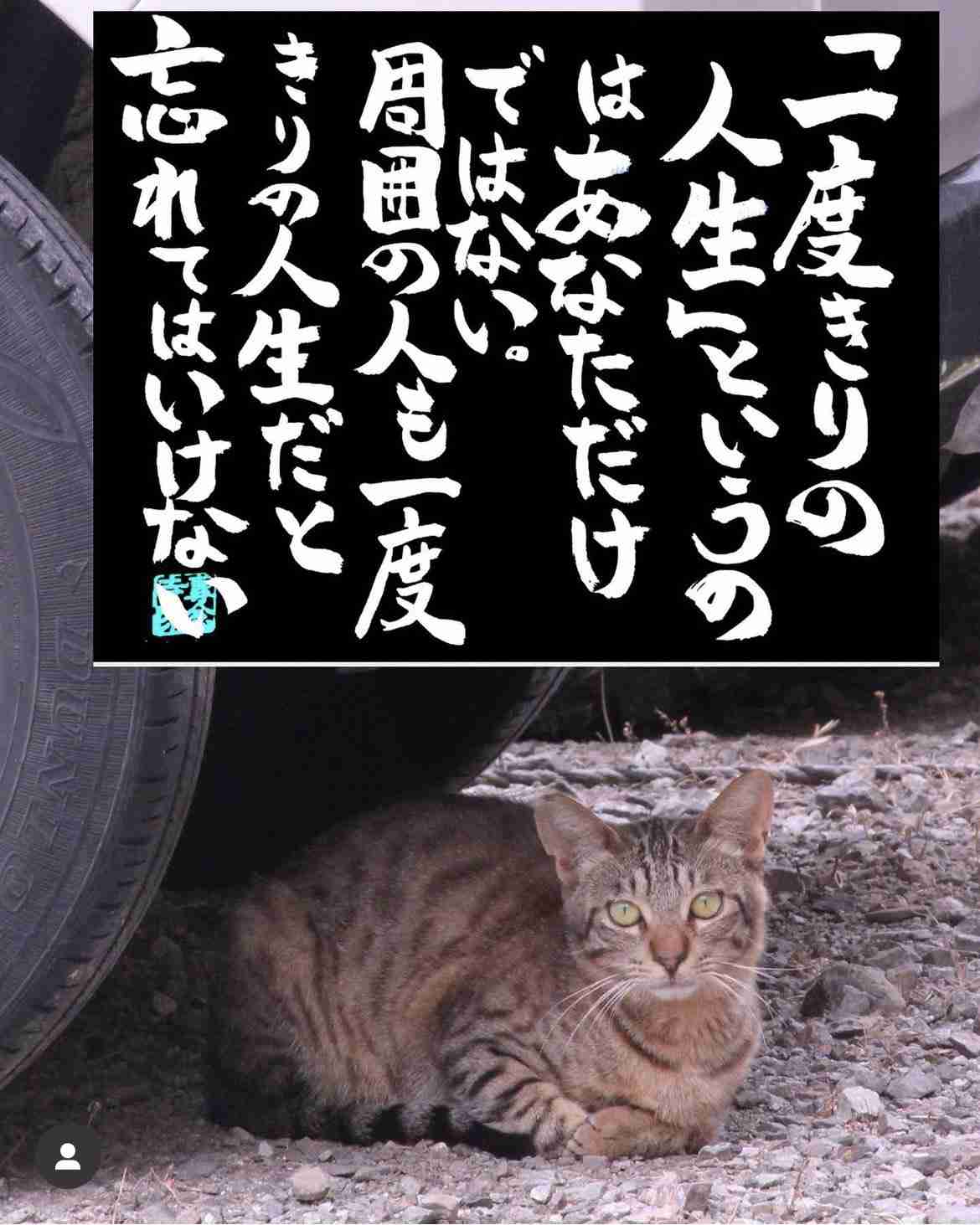 貴重な「28歳の数カ月」が無駄に…。自分から別れを切り出さない「振られ待ち」の男性が急増する理由