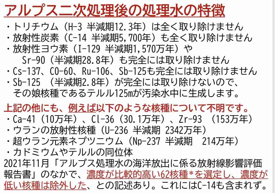小泉進次郎氏 サーフィンで“安全”　処理水めぐりアピール