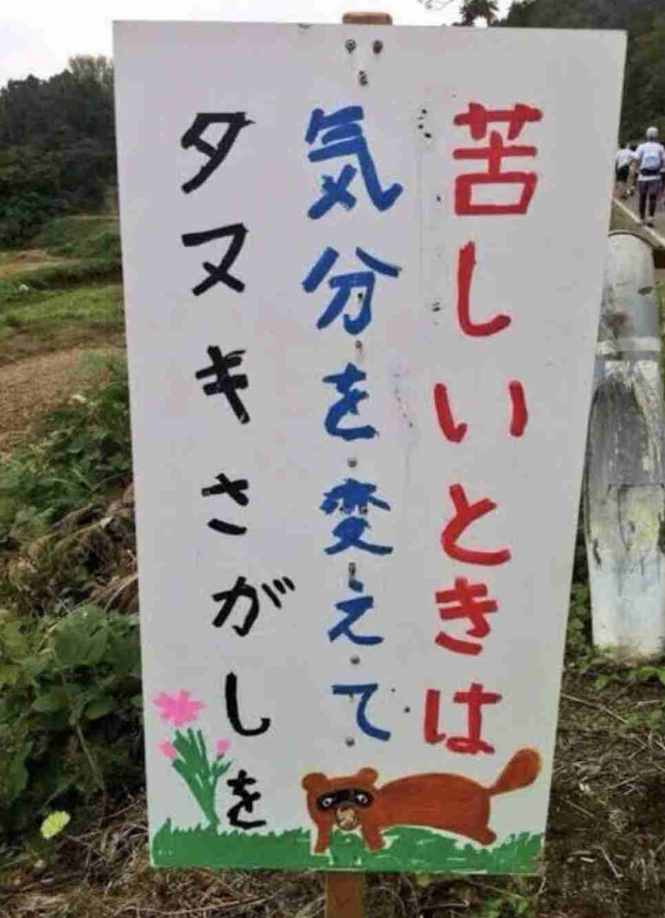 田舎の娯楽