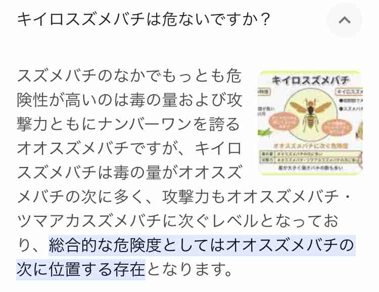 【知恵を貸して】蜂が巣を作った