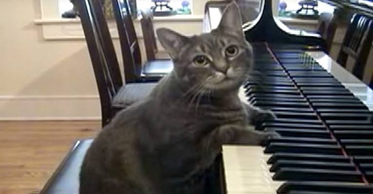 初心者が弾きたいピアノ曲を書くと経験者がアドバイスをくれるトピ