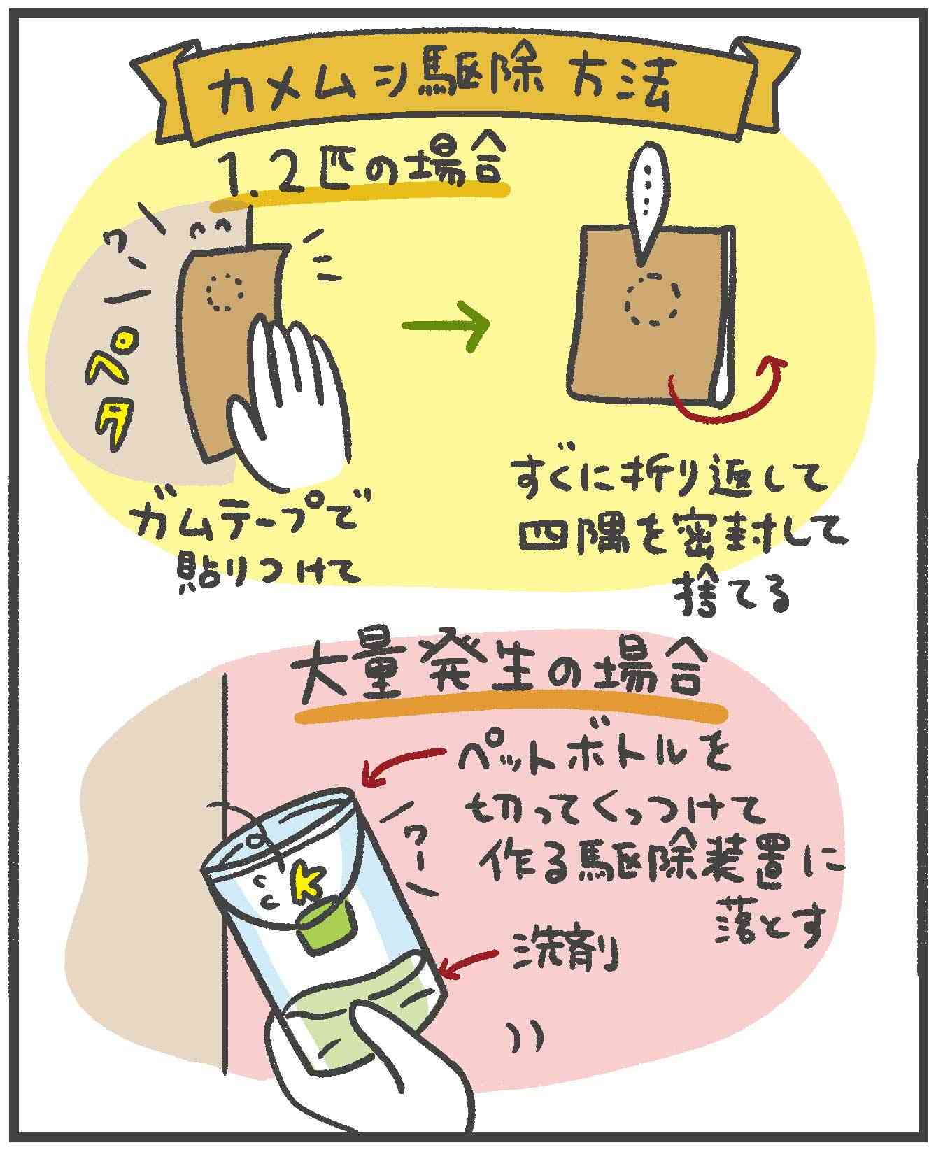 カメムシ対策