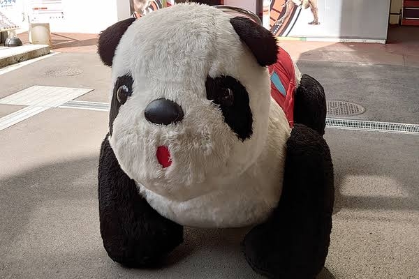 三重・多度大社の「上げ馬神事」廃止求める署名提出　市民団体がネットで2万人分集める