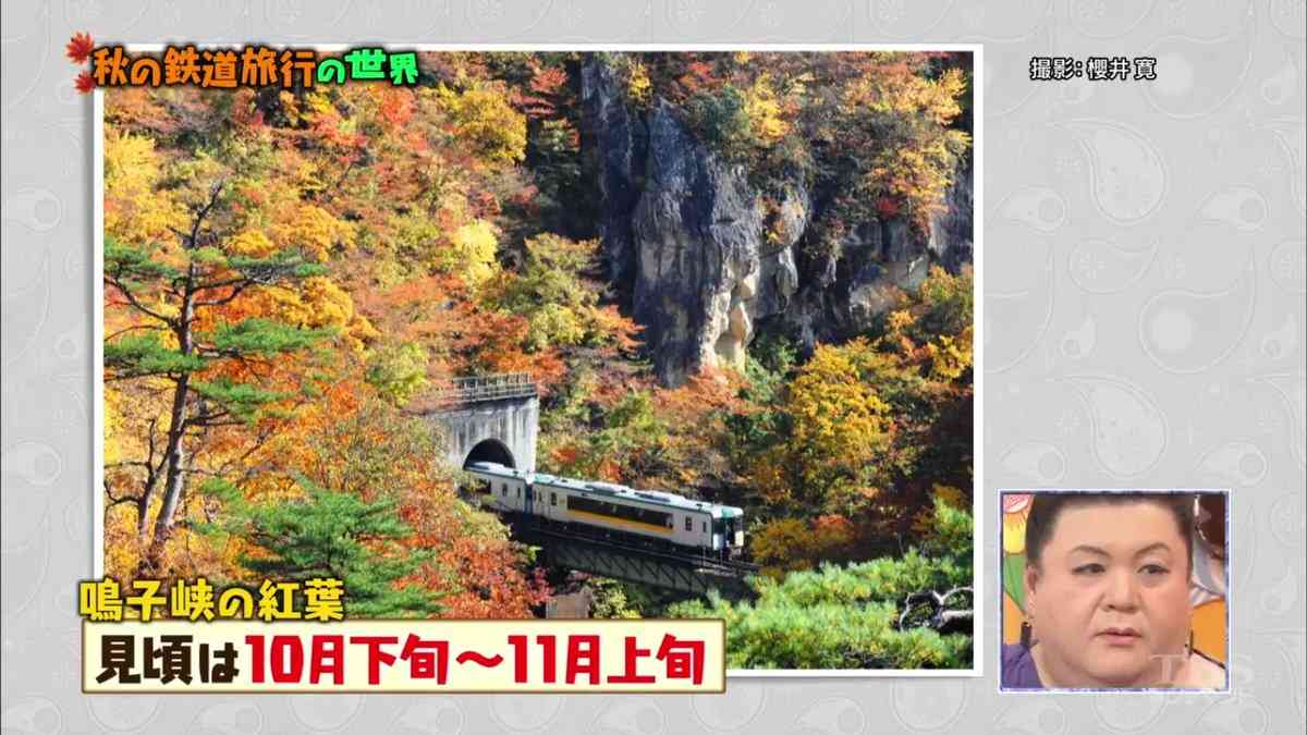 A型は美川憲一、B型はマツコ、O型は武田鉄矢、AB型はIKKO言葉で話すトピ part6