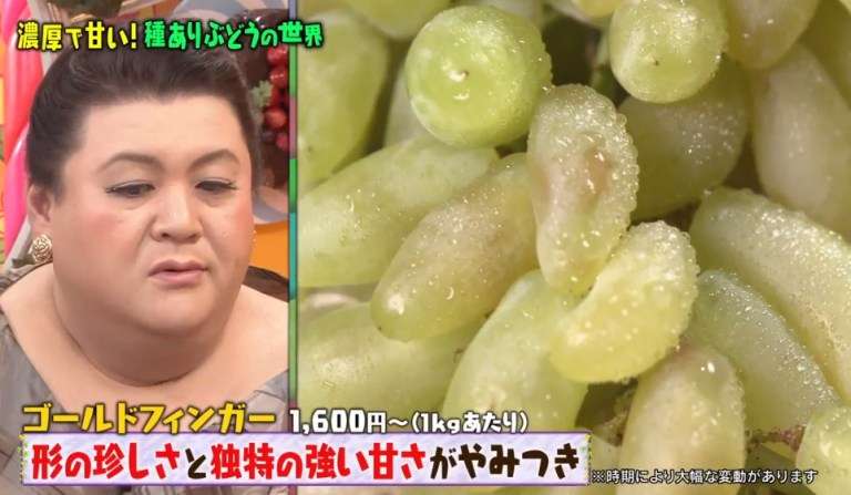 A型は美川憲一、B型はマツコ、O型は武田鉄矢、AB型はIKKO言葉で話すトピ part6