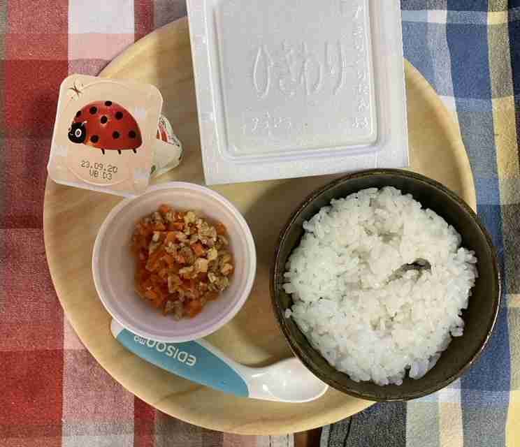 皆さんのリアルな離乳食、幼児食を見せて！