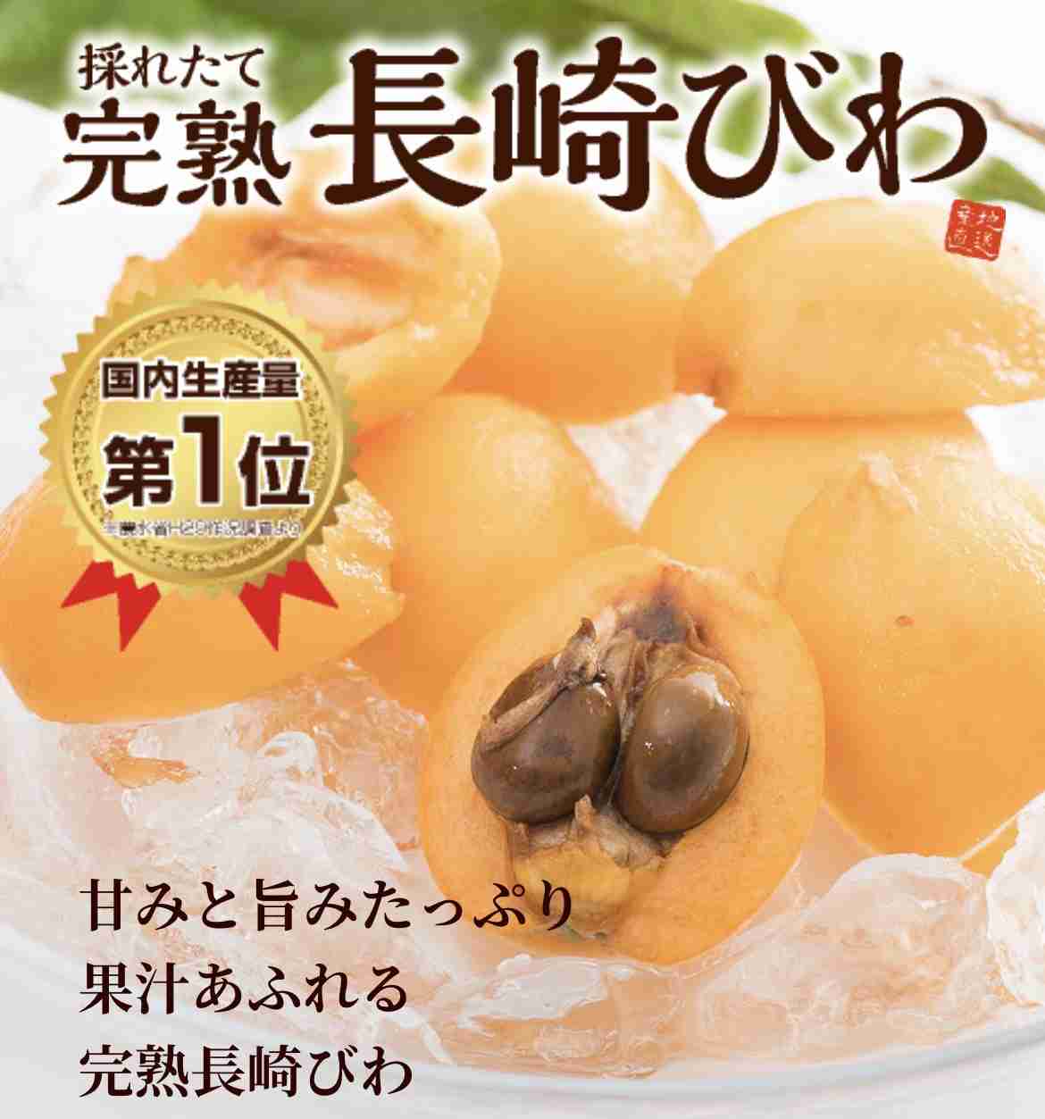 九州グルメを挙げるトピ