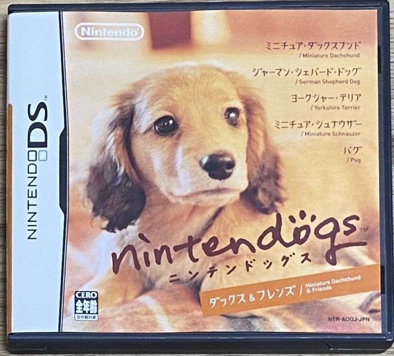 ニンテンドーDS/3DSの思い出