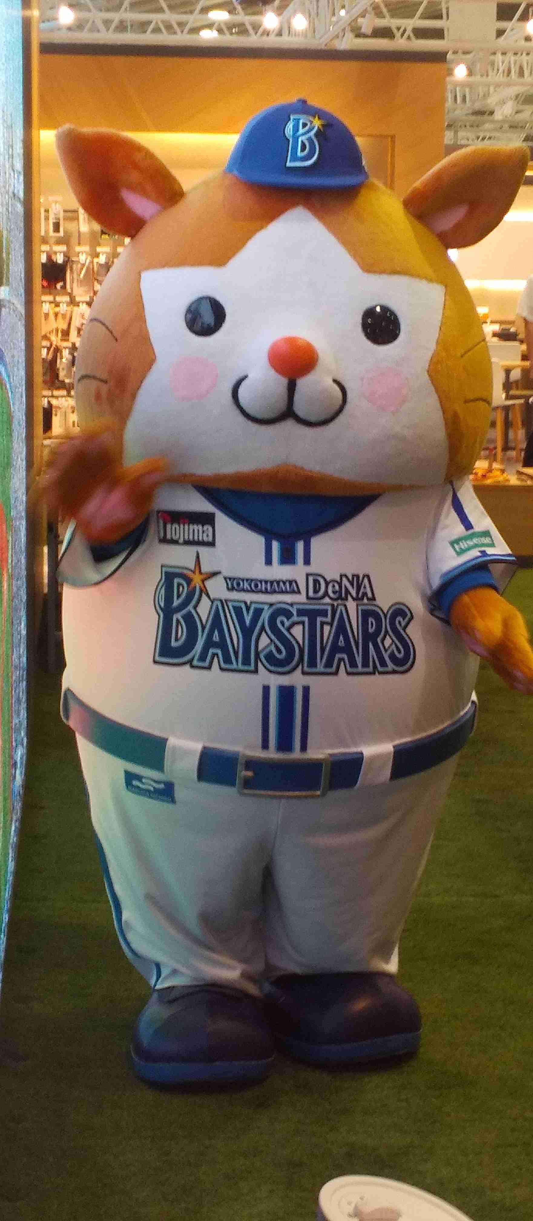 横浜DeNAベイスターズ応援トピ⭐︎part6