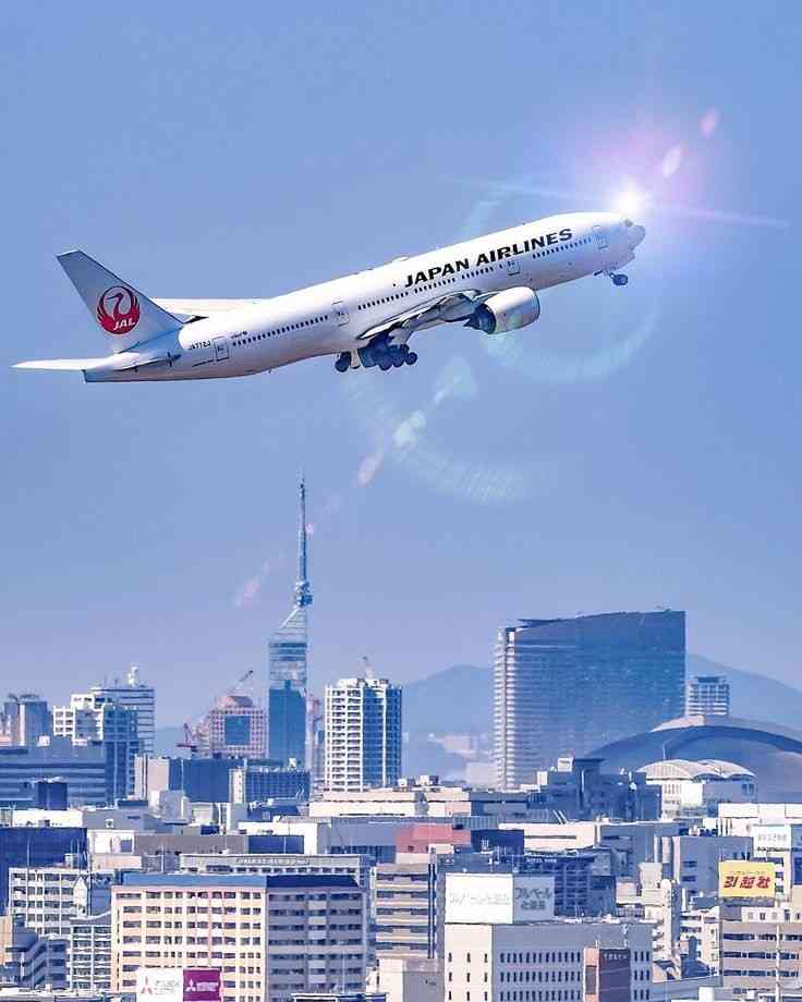 遠くから聞こえてくる飛行機の音が苦手です。