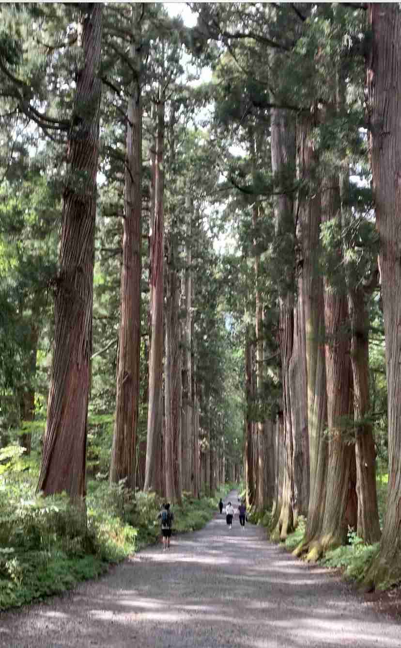 長野県がすきな人語りましょう