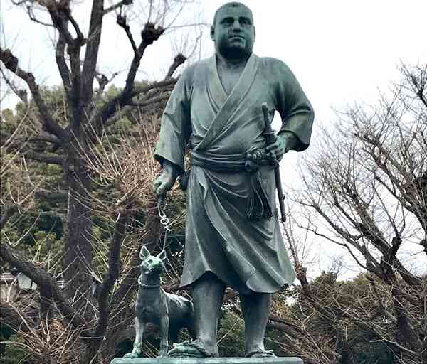 渋谷、原宿でおすすめ