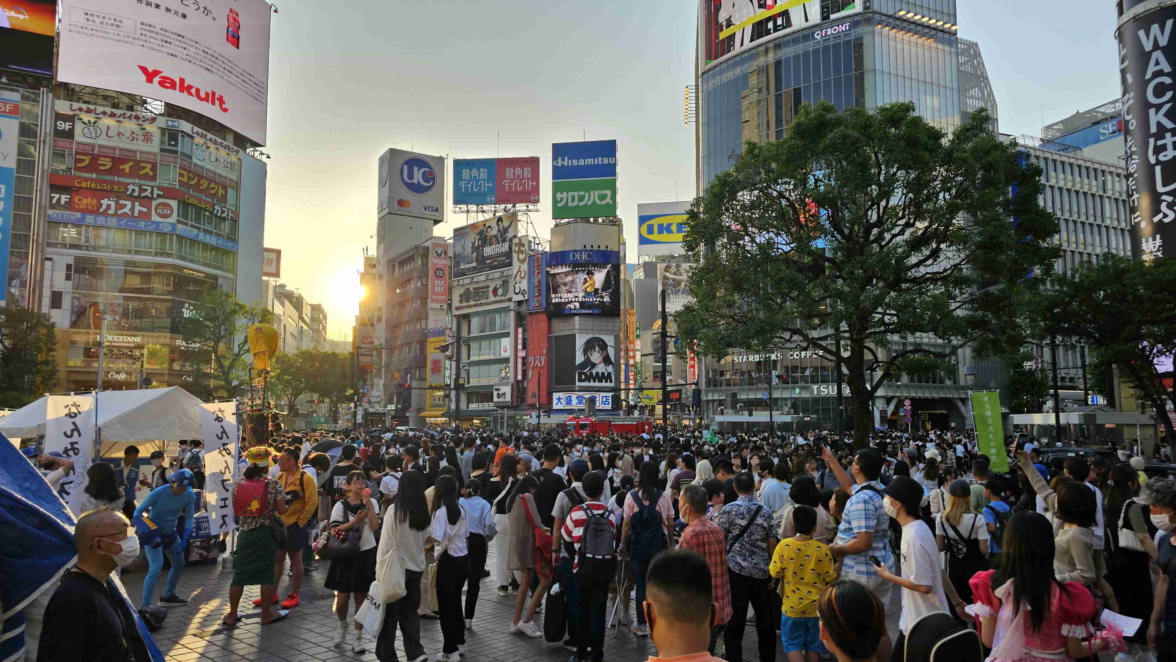 渋谷、原宿でおすすめ