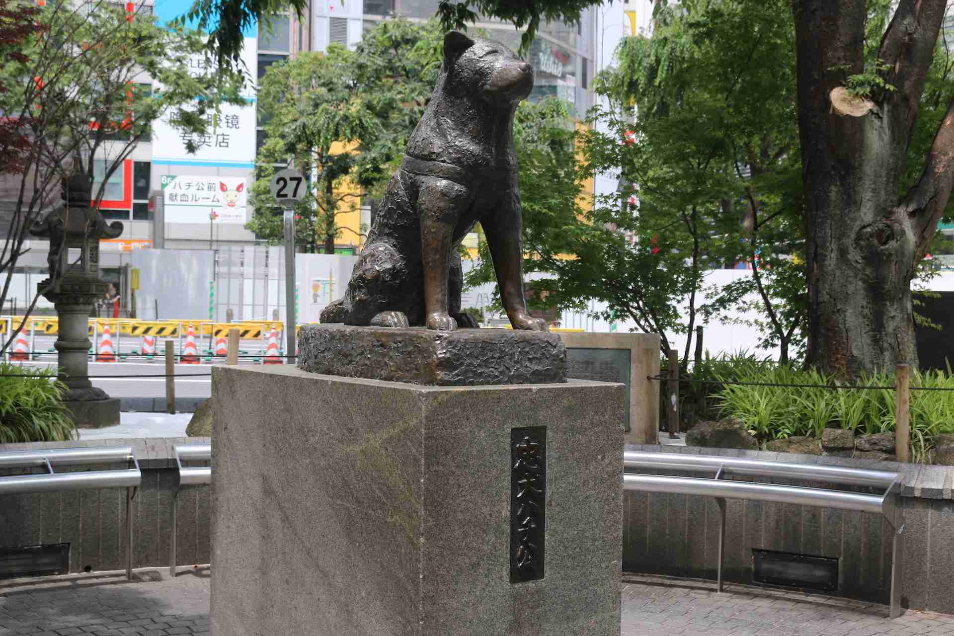 渋谷、原宿でおすすめ