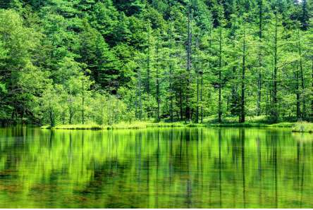 帝国ホテルの思い出を語りませんか？