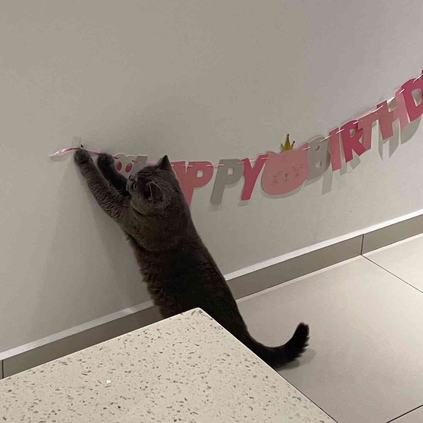 推しの誕生日どう祝う？