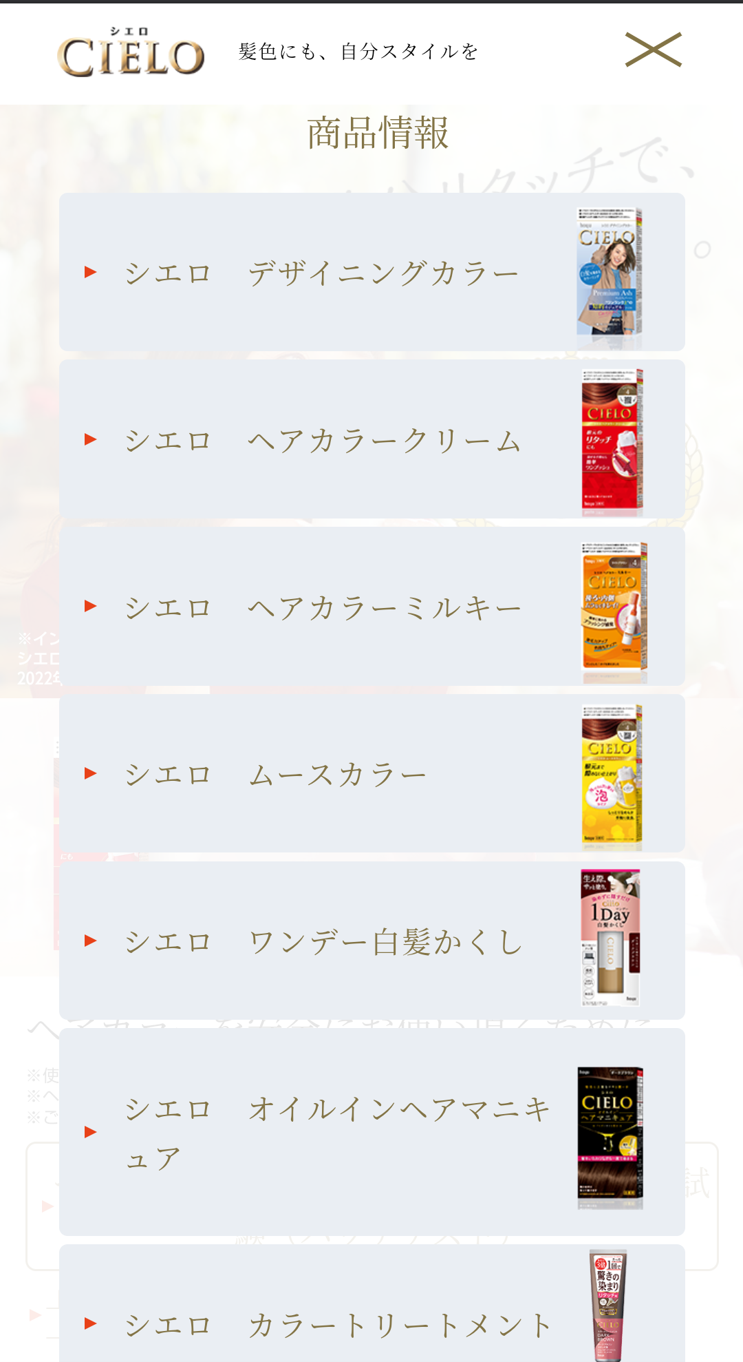 市販の白髪染め