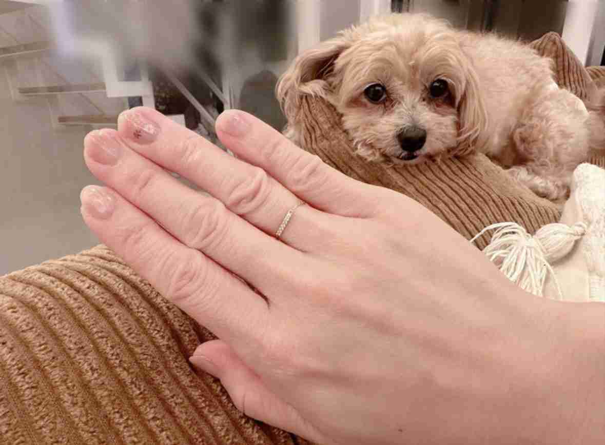 辻希美＆杉浦太陽、5人目に言及「ほしいと思ってんねんもんな？」　育児の悩みに答え「やりがいはすごくある」