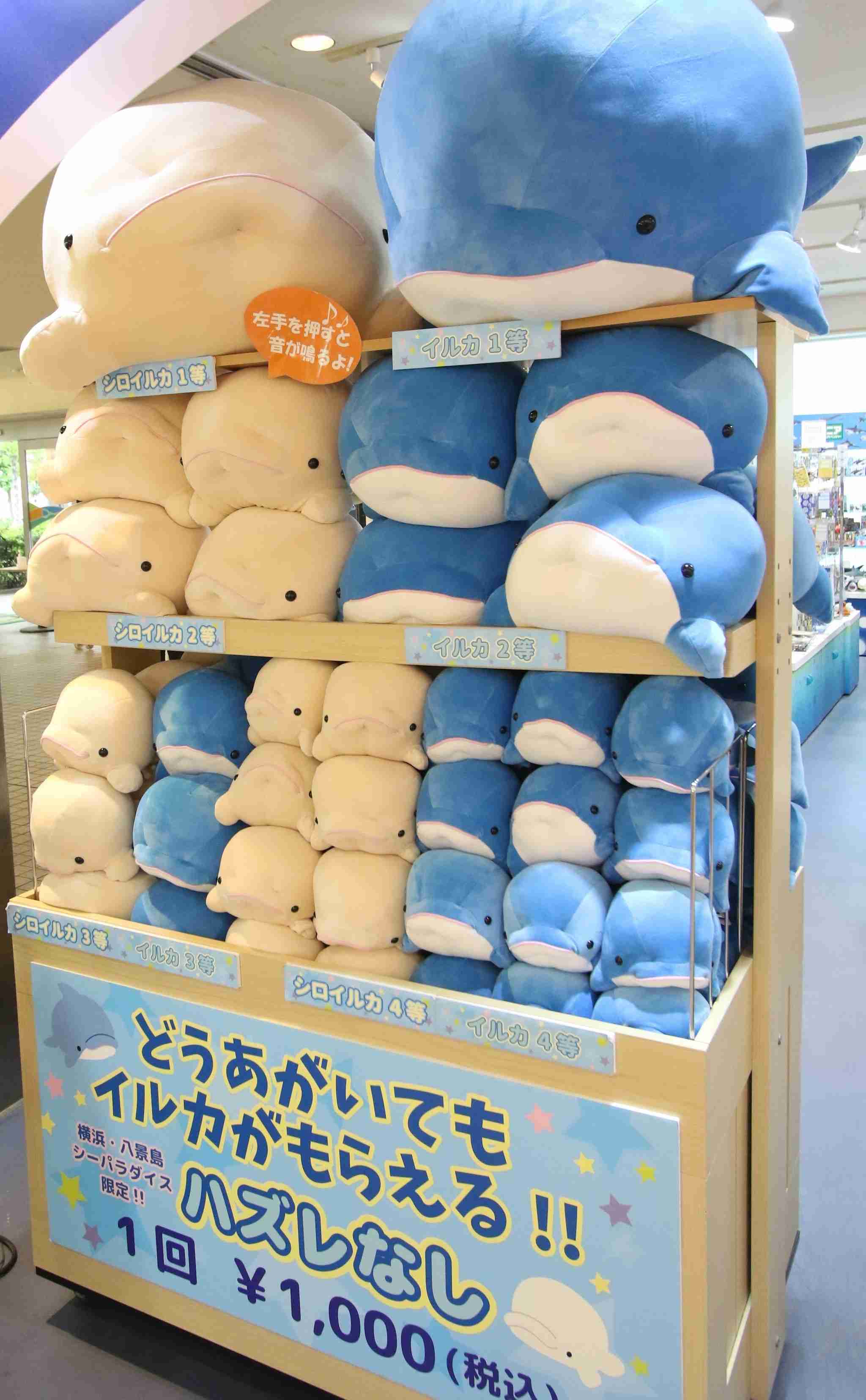 【とにかく】シャチについて【なんでも】