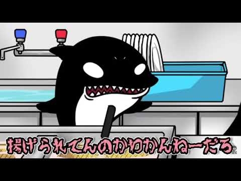 【とにかく】シャチについて【なんでも】