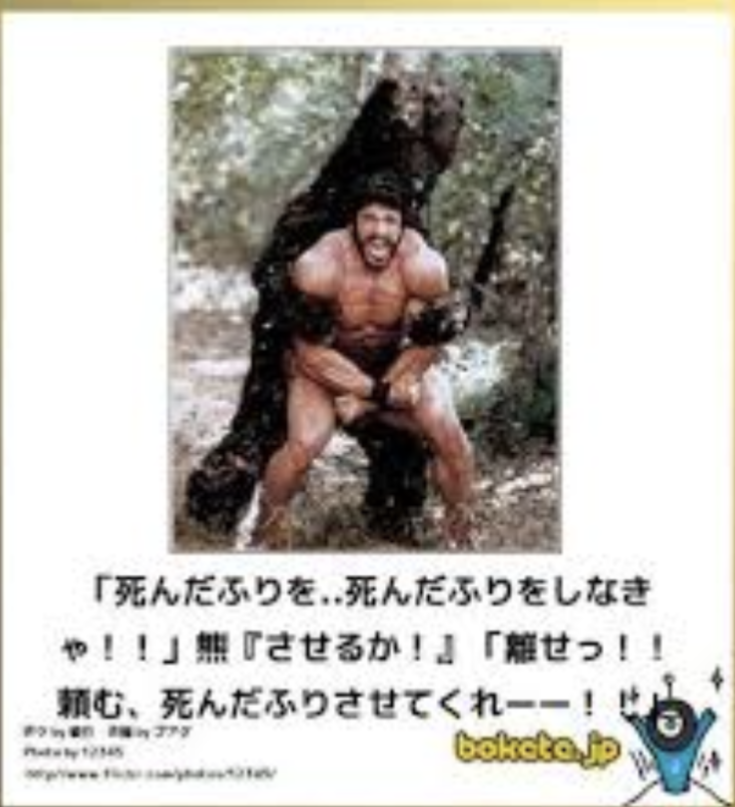 岩手県で女性が喰い殺された！　北海道のヒグマより殺傷事件が多いツキノワグマ、顔全体を喪失したリンゴ農家も
