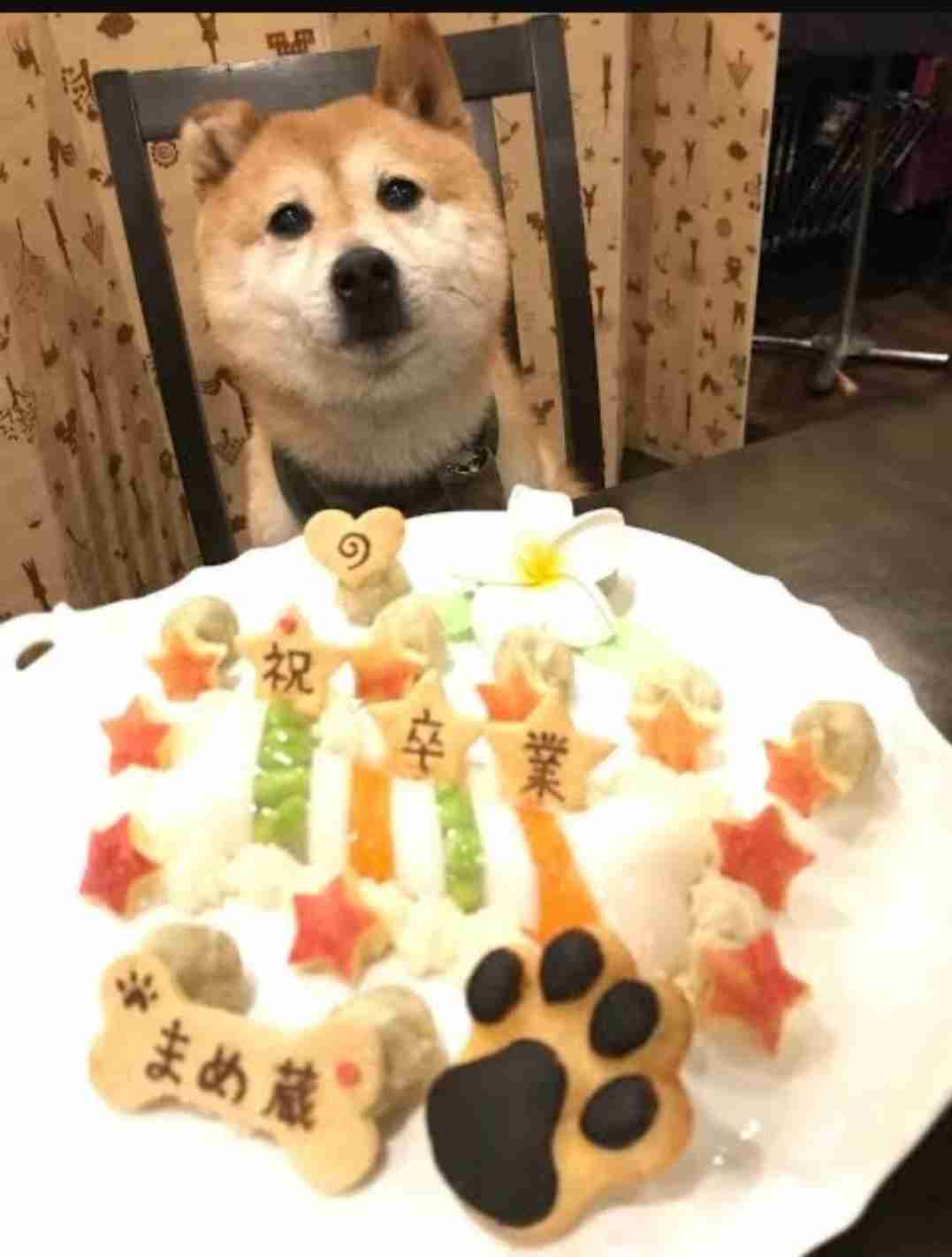 UFOキャッチャー景品取れず“犬系彼女”が号泣…人気カップルYouTuberの動画に賛否、“オチ”にも一部批判