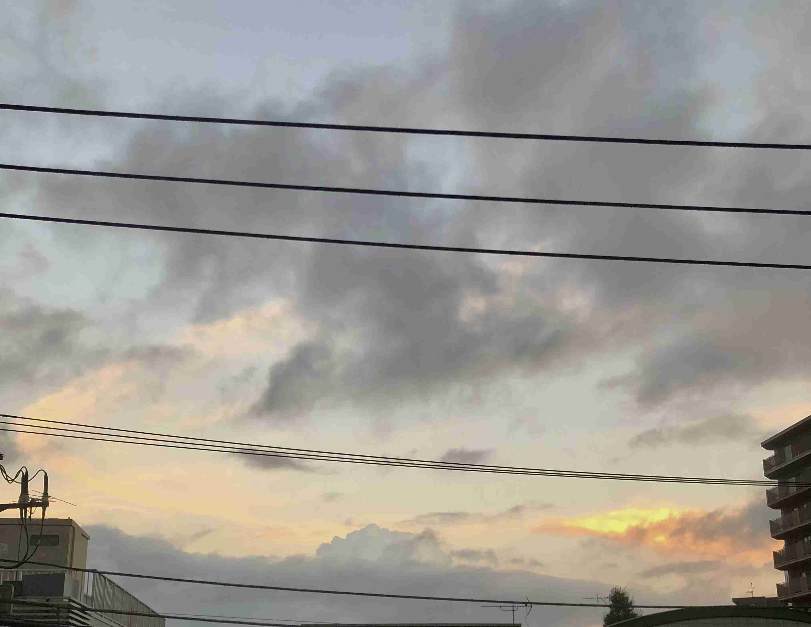 秋の我が家の情景を貼るトピ