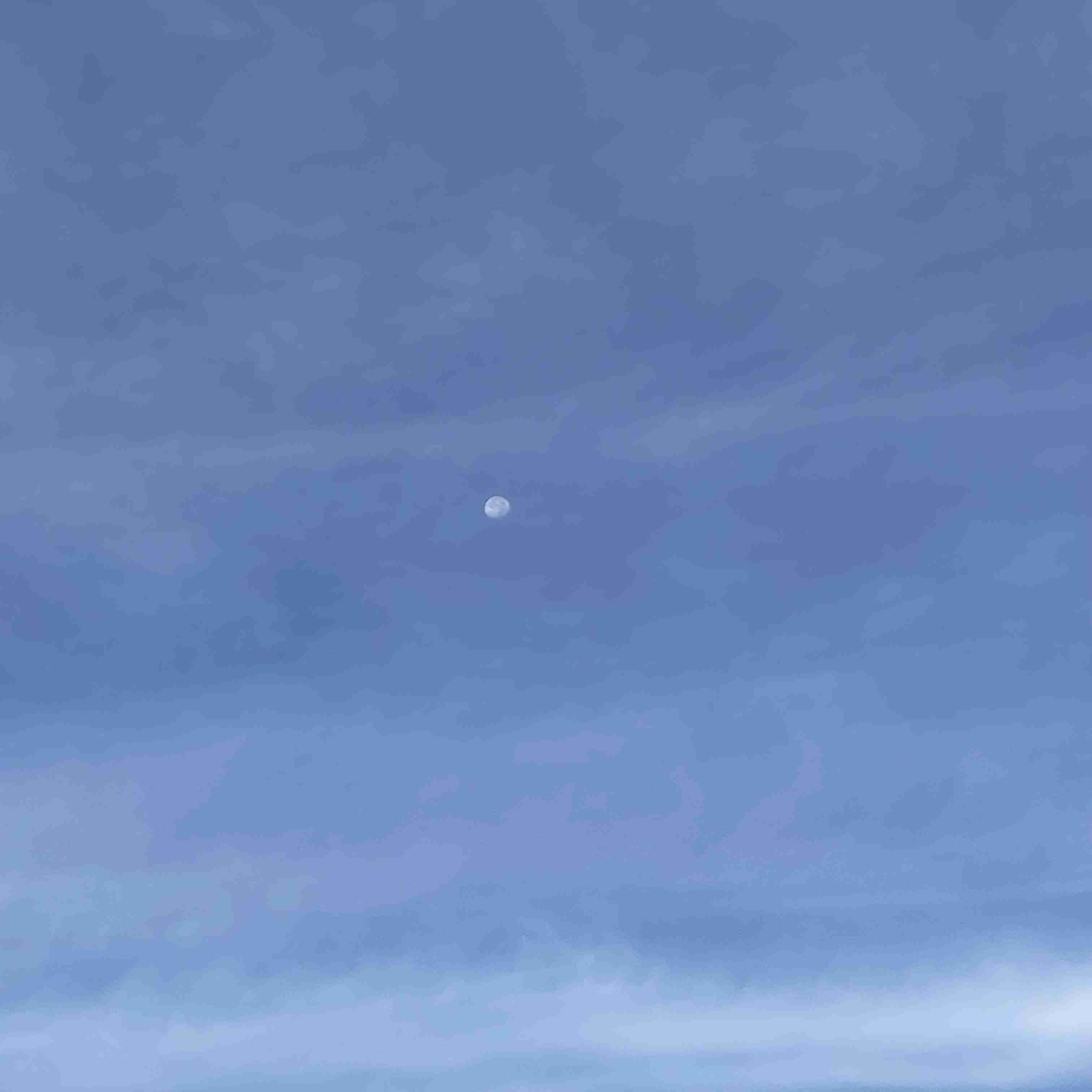 秋の我が家の情景を貼るトピ