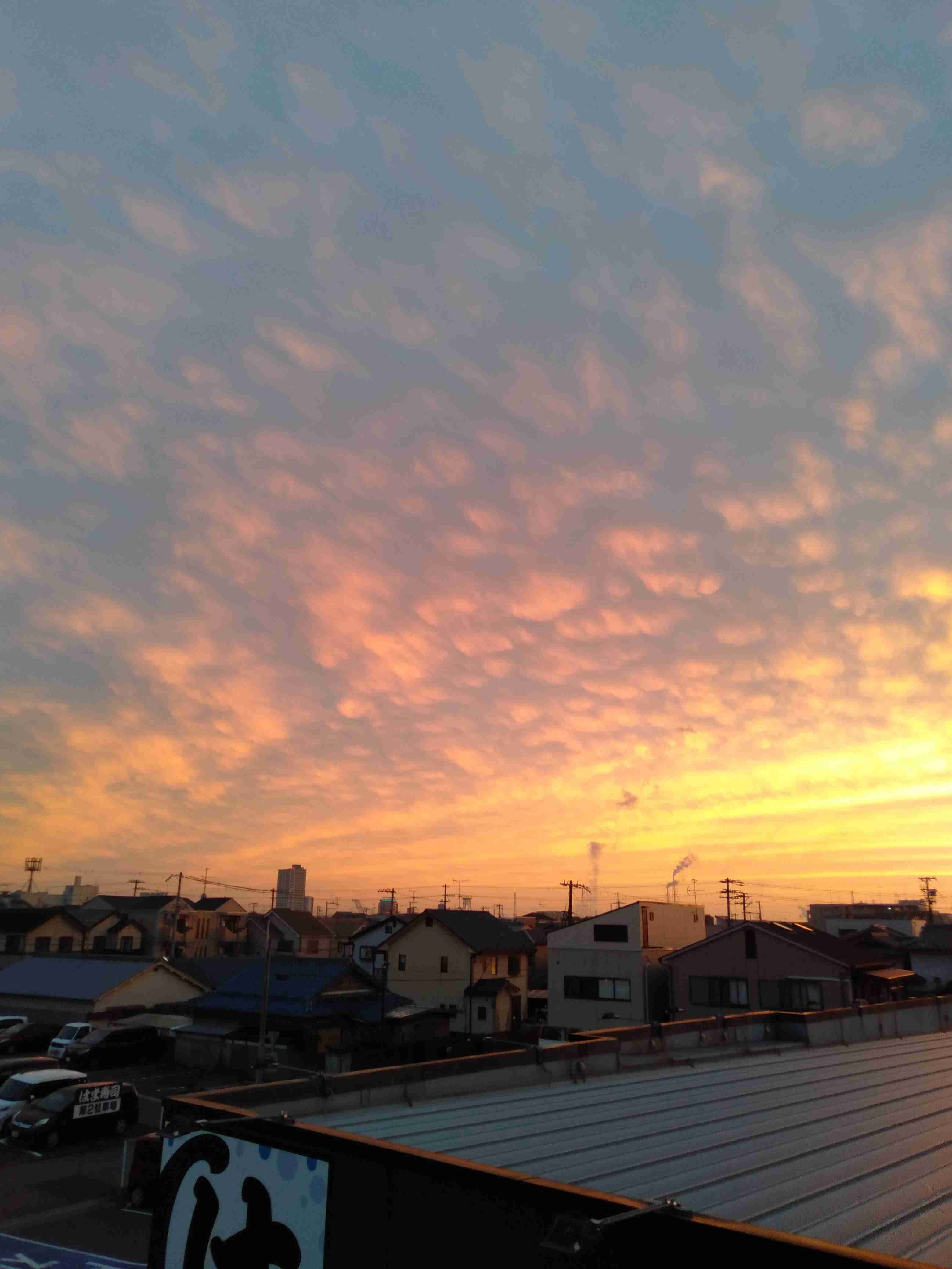 秋の我が家の情景を貼るトピ