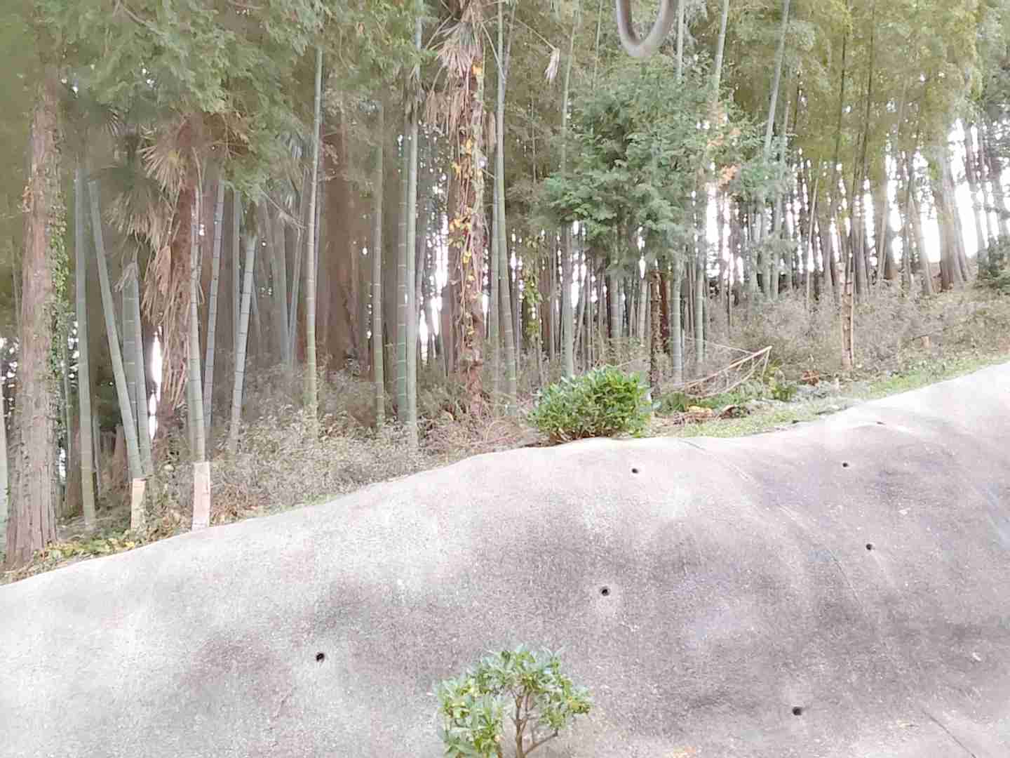 秋の我が家の情景を貼るトピ